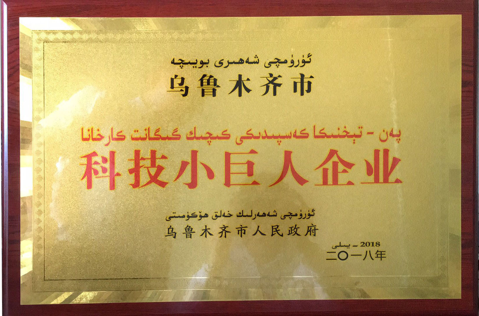 金雪馳榮獲烏魯木齊市首批“科技小巨人”和 “專精特新”企業(yè)榮譽(yù)稱號(hào)